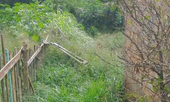 Imagem 4: Terreno com uma pequena casa