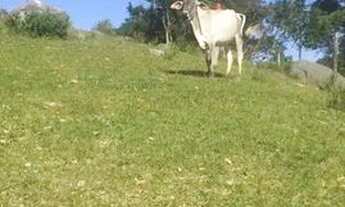 Imagem 2: Terreno Terreno / lote com venda por R$140.000