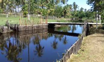 Imagem: POUSADA ILHÉUS-BA