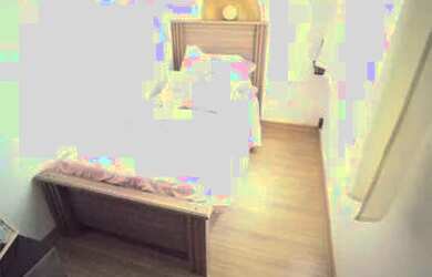 Imagem 7: Aluguel Residential / Home Belo Horizonte MG