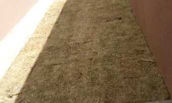 Imagem 6: Casas na Nova Campo Grande - 3 Quartos 2 Banheiros