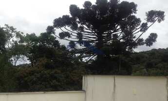 Imagem 3: Apartamento- Petrópolis, Centro