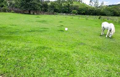 Imagem 7: LL-Vendo terreno com documentos