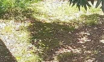 Imagem 5: Uma excelente casa ,com um terreno grande