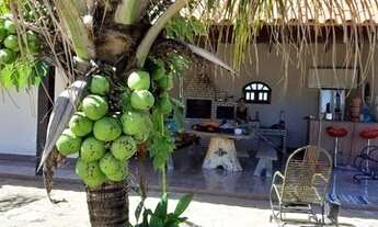 Imagem 3: Chacara em Viana 90 mil