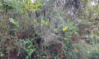 Imagem 6: Terreno à venda na Serra da Cantareira em Mairiporã/SP. Dois Terrenos unificados