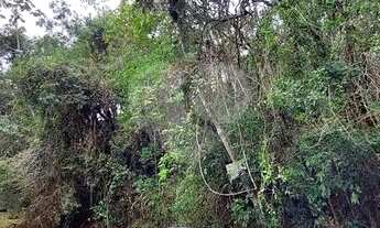 Imagem 7: Terreno à venda na Serra da Cantareira em Mairiporã/SP. Dois Terrenos unificados