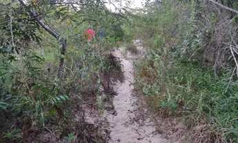 Imagem 3: Vendo chácara lote terreno sítio