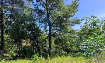 Imagem 5: Sítio com vista panorâmica em Morungava de frente pra 020