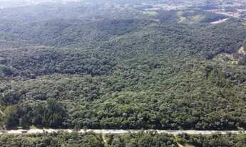 Imagem: Vendo terreno Industrial BR280 Industrial