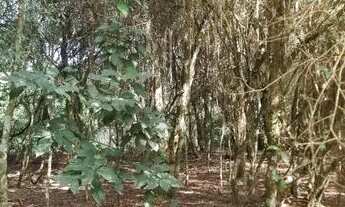 Imagem 7: Espetacular sítio 5000 m² em condomínio fechado em Águas Claras..