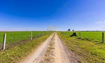 Imagem 6: Palmeira, 99 alqueires, 239 hectares - Dupla Aptidão