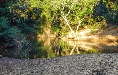 Imagem 5: Fazendinha de 20.000m² com rio nos fundos, Jaboticatubas (Temos varias opções)