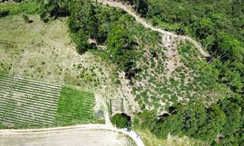 Imagem 4: Sítio de 01 Alqueire