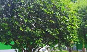 Imagem 5: Brasília - Casa Padrão - Asa Norte