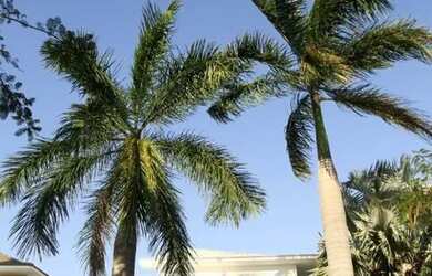 Imagem 2: FIT - Venda - Cond. da Torre - Pq Sto Amaro - 4 Suítes