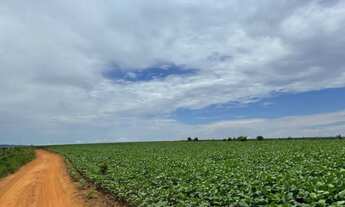 Imagem 3: FAZENDA DE OPORTUNIDADE GOIÁS