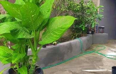 Imagem 2: ALUGO CASA BARATA NA REGIÃO DOS LAGOS