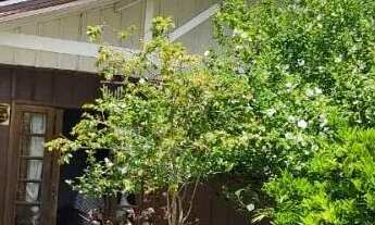 Imagem 2: Casa em Piraquara - São Tiago Prox Viação Piraquara