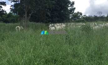 Imagem 3: FAZENDA À VENDA - 454 HECTARES - REGIÃO DE BOCAIUVA (MG