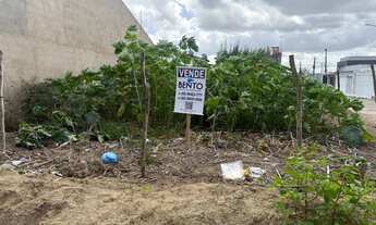 Imagem 7: TERRENO EM LOCALIZAÇÃO MAIS TRANQUILA VALOR 110 mil FALA COMIGO *48