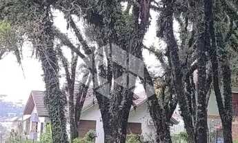 Imagem 7: Terrebo de esquina com 1084m² Canela