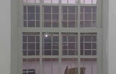 Imagem 4: Sala Comercial para Locação 35 m² Brás