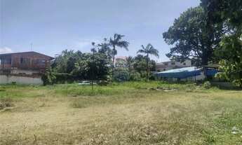 Imagem 2: Área para locação no bairro de Brás Cubas em Mogi das Cruzes