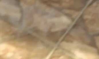 Imagem 12: Vendo otima casa praia de Mauá porteira fechada ou vazia valor 75mil