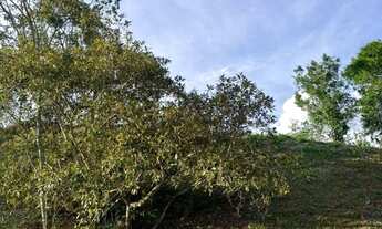 Imagem 6: Terreno à venda, 800 m² por R$ 370.000 - Condomínio Reserva Ibirapitanga - Santa Isabel/SP