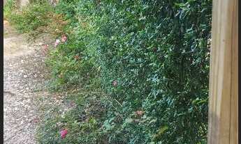 Imagem 3: Chácara a venda na Roseira divisa de Colombo/ Campina Grande do Sul