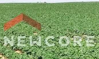 Imagem 5: Sítio em Rua Saldanha Marinho - Centro - Itapetininga/SP
