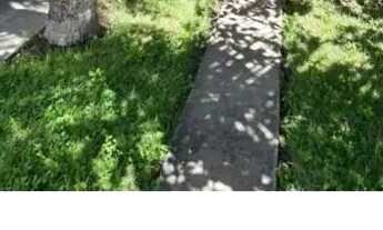 Imagem 6: Linda casa com quatro quartos e piscina na Barra Nova