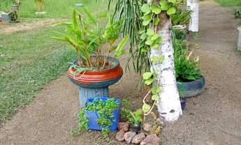 Imagem 3: Lindo Sitio em Balbina Presidente Figueiredo