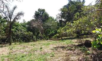 Imagem 4: Ótimo terreno em Iranduba