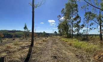 Imagem 5: Terreno Seu Refúgio de Tranquilidade e Valorização