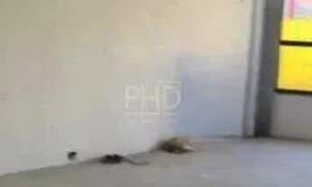 Imagem 4: Galpão comercial para aluguel em Nova Petrópolis, SBC 370 m², frente, 4 vagas