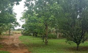 Imagem 7: Chácara em Idrolandia a 7 km da cidade .