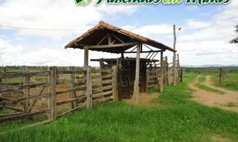 Imagem: Fazenda para pecuária de corte e leite