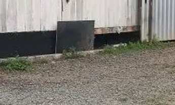 Imagem 5: Blumenau - Galpão/Depósito/Armazém - Escola Agricola