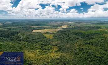 Imagem 6: Belíssima Fazenda com 685 mil m² à venda no litoral proximo de Sauipe com Mata Preservada