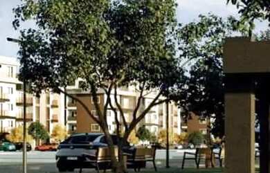 Imagem 7: CD Maravista Home Beach | Aracaju