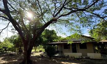 Imagem: Chácara 5.000 mts OPORTUNIDADE