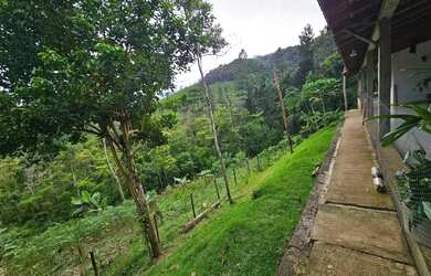 Imagem 7: Chácara de 7mil metros em Juquitiba