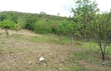 Imagem 2: Chácara 20.000 m2 Condomínio Com Cachoeira Corumbá de Goiás