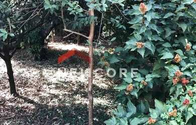 Imagem 6: Chácara em Rua Henedina Oliveira Bresler - Bela Vista - Paulínia/SP