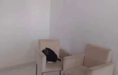 Imagem 4: APARTAMENTO EM IPITANGA, LAURO DE FREITAS