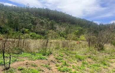 Imagem 7: Seu próximo passo começa aqui: terreno disponível em Terra Preta!