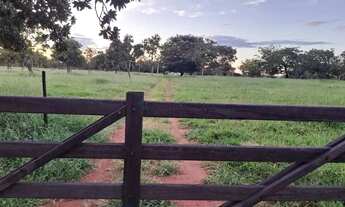 Imagem 5: VENDO!!! SÍTIO À VENDA REGIÃO DE AMORINÓPOLIS (GO