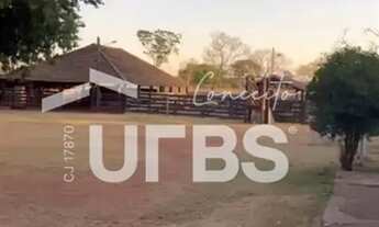 Imagem 5: Fazenda Ourinho de Deus - 63 alqueires - 7 km de Santa Tereza - Go